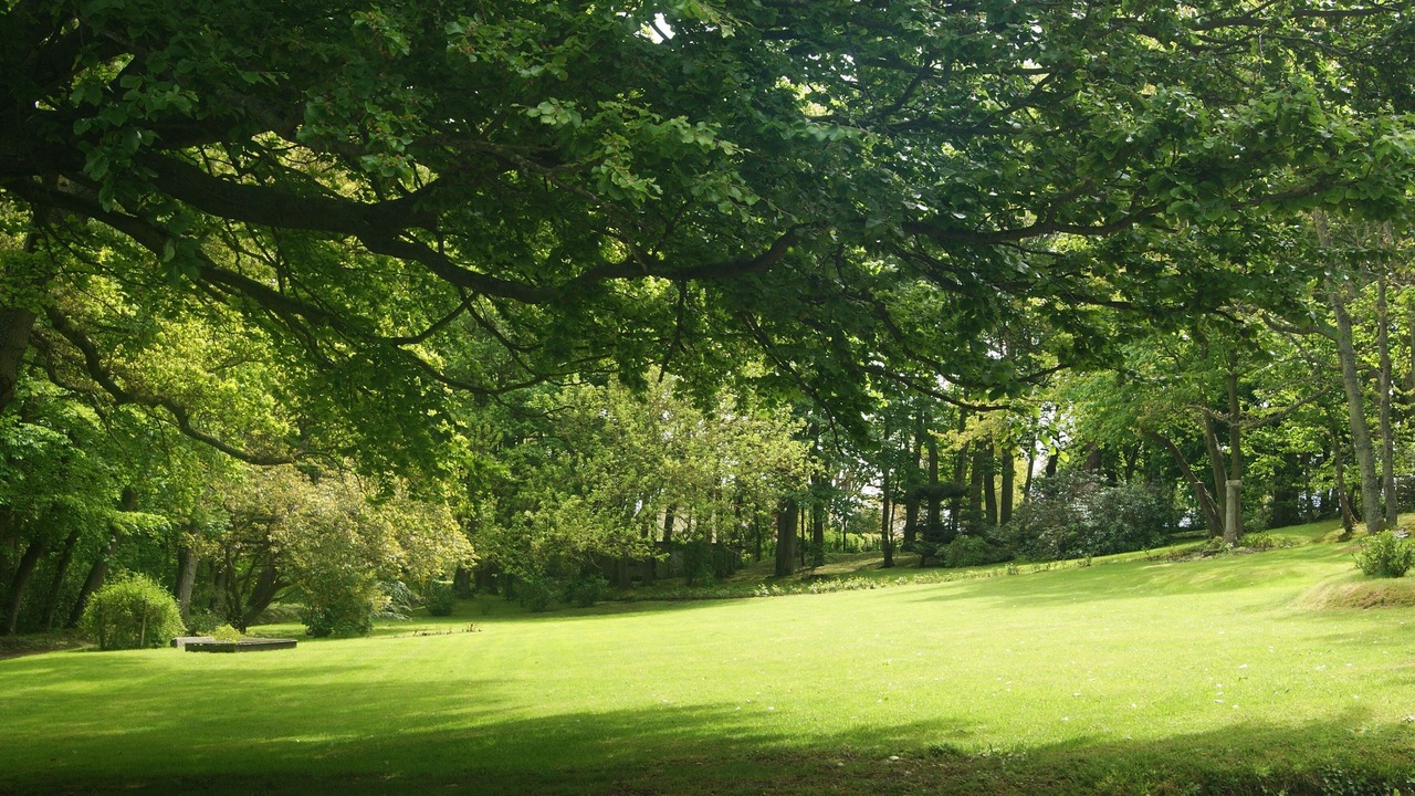 Photo of Outdoor in Sainte-Marguerite-sur-Mer