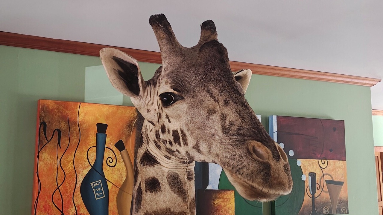 Photo of Others in State College