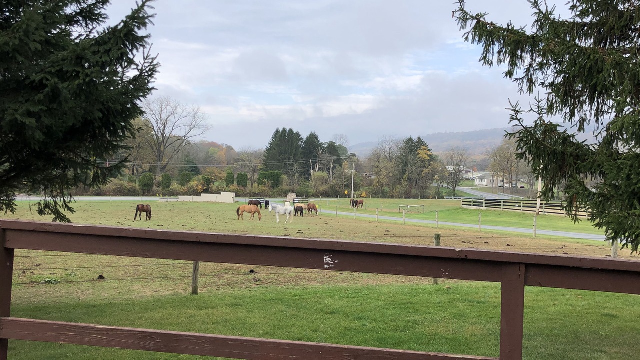 Photo of Others in Grantville