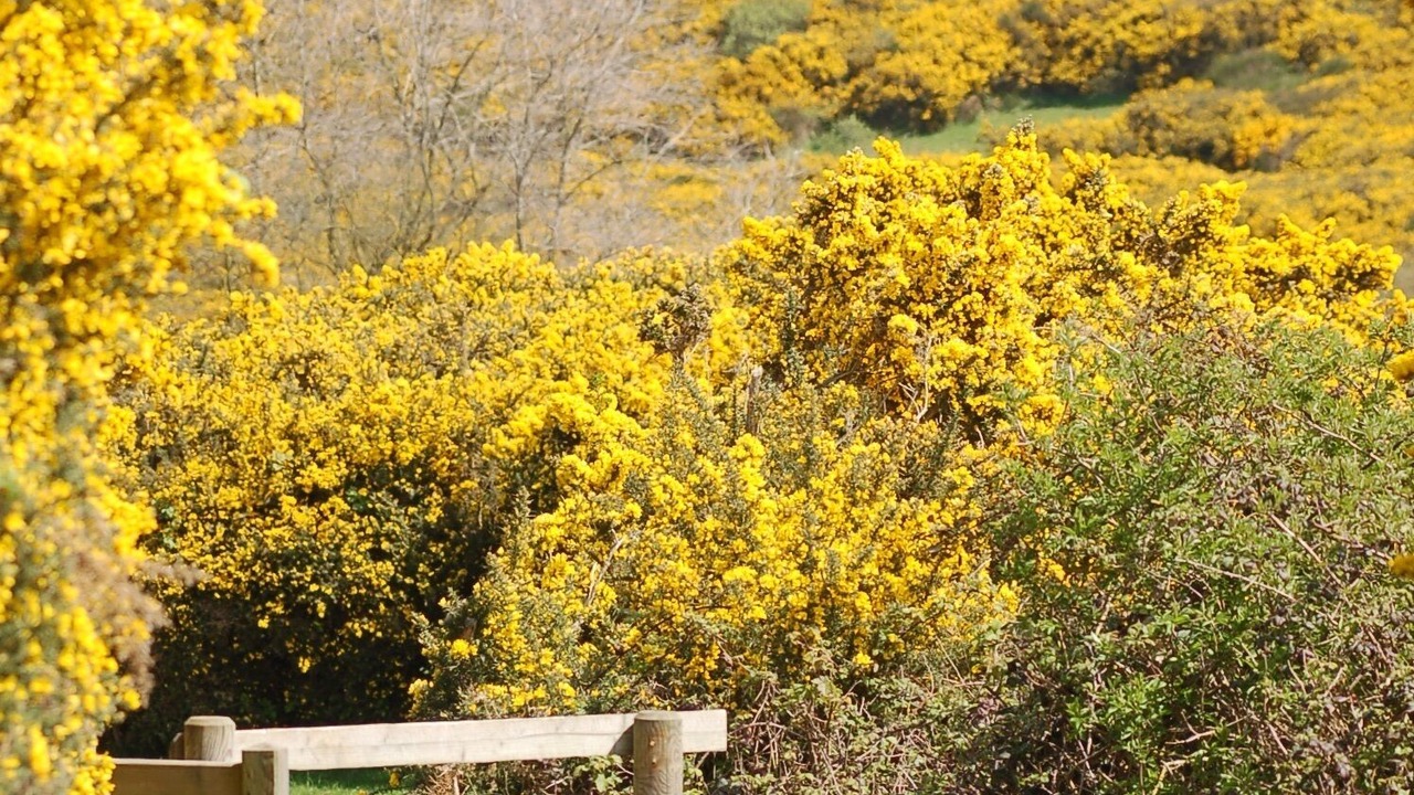 Photo of Outdoor in Wissant