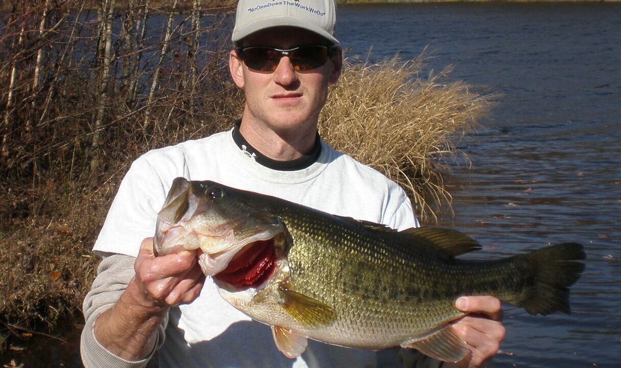 Photo of Others in Kemp