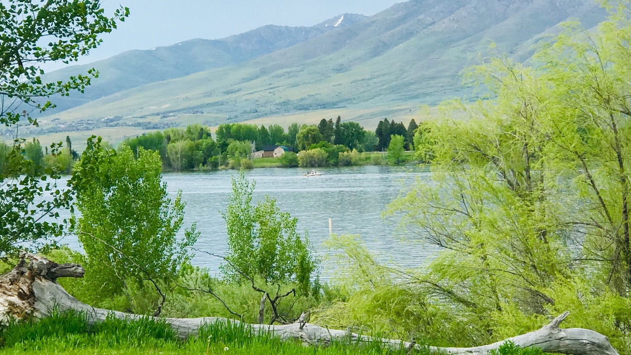 Photo of Others in Ogden