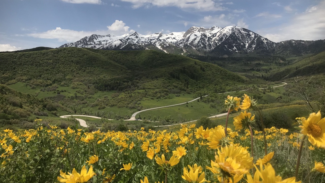 Photo of Outdoor in Ogden