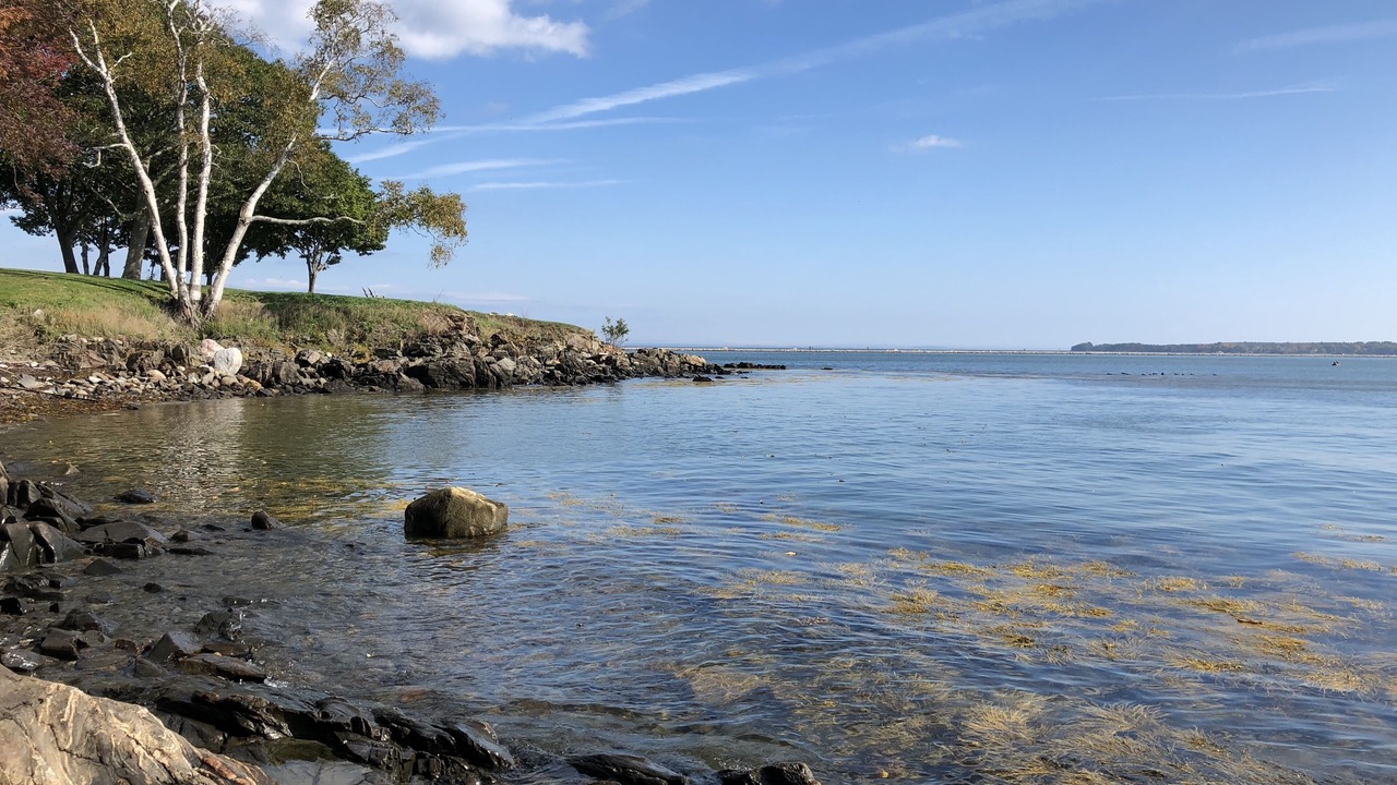 Photo of Others in Glen Cove