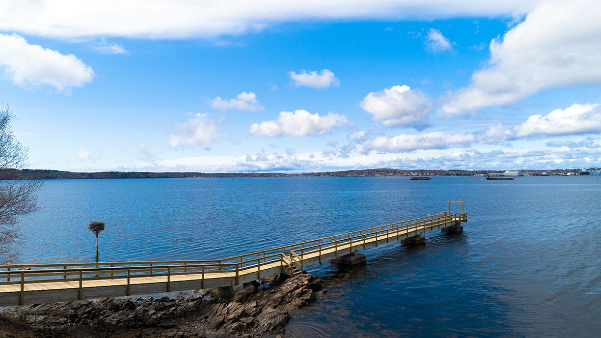 Photo of Others in Glen Cove