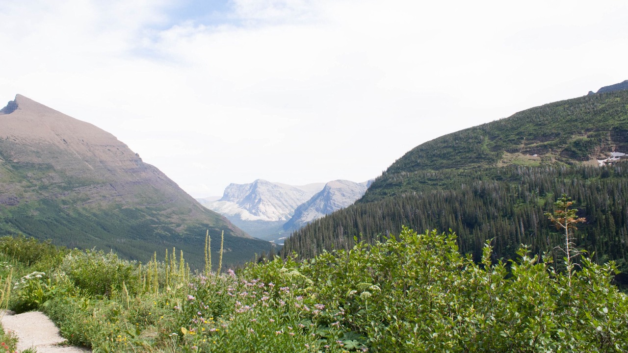 Photo of Outdoor in Big Sky Meadow Village