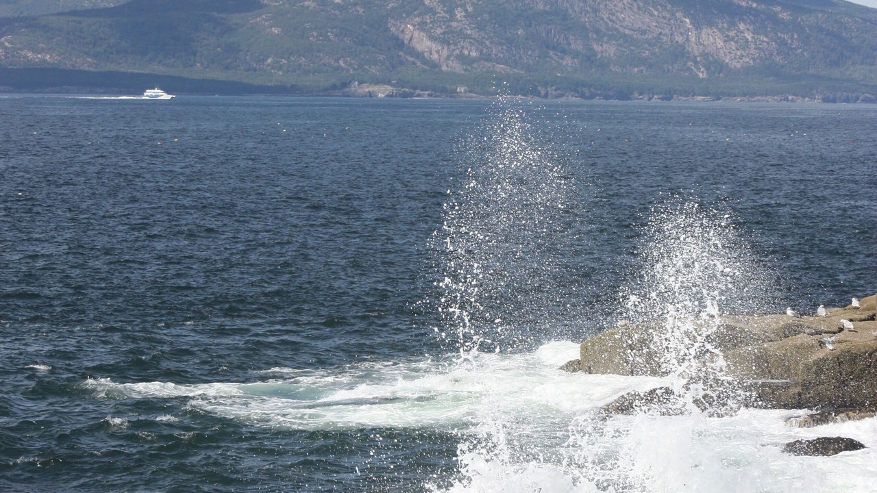 Photo of Others in Winter Harbor