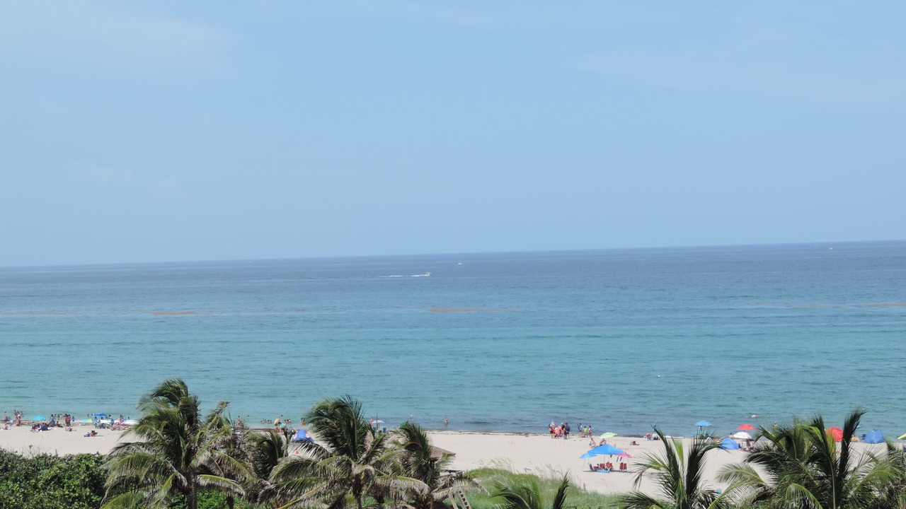 Photo of Others in Singer Island