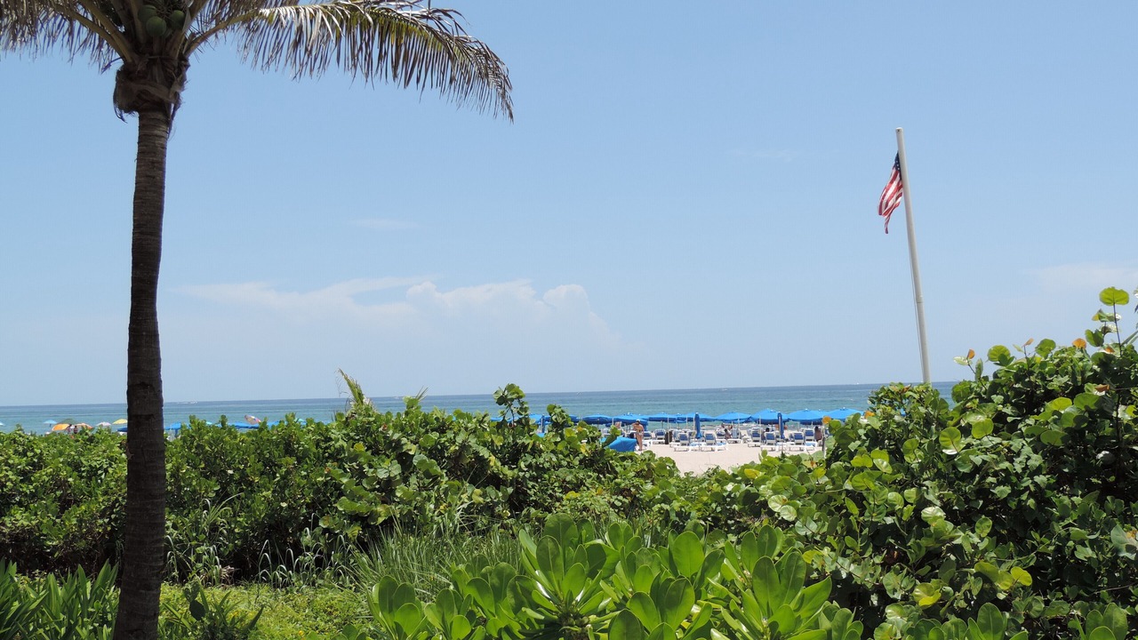 Photo of Others in Singer Island