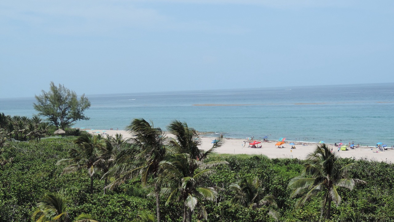 Photo of Others in Singer Island