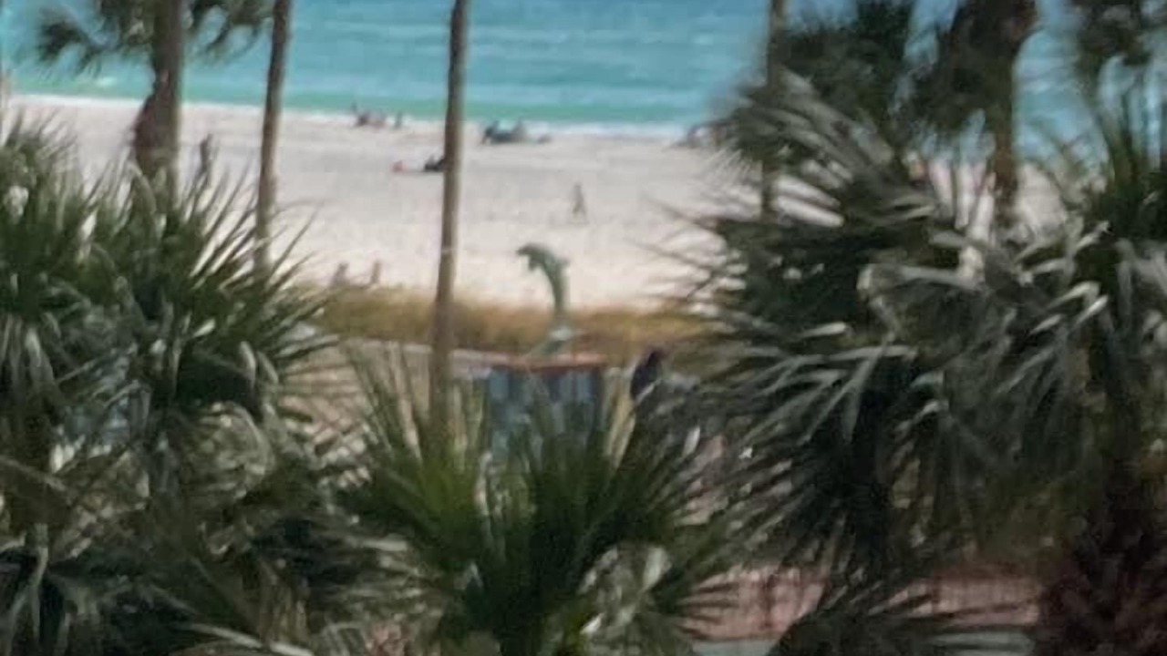 Photo of Outdoor in Panama City Beach