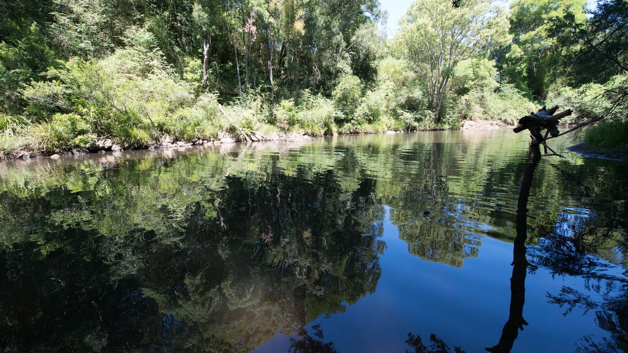 Photo of Outdoor in Eureka