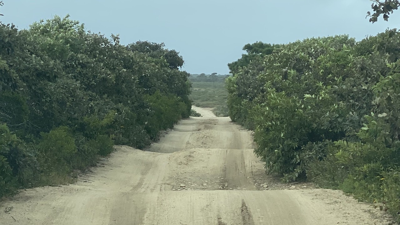 Photo of Outdoor in Nantucket Town