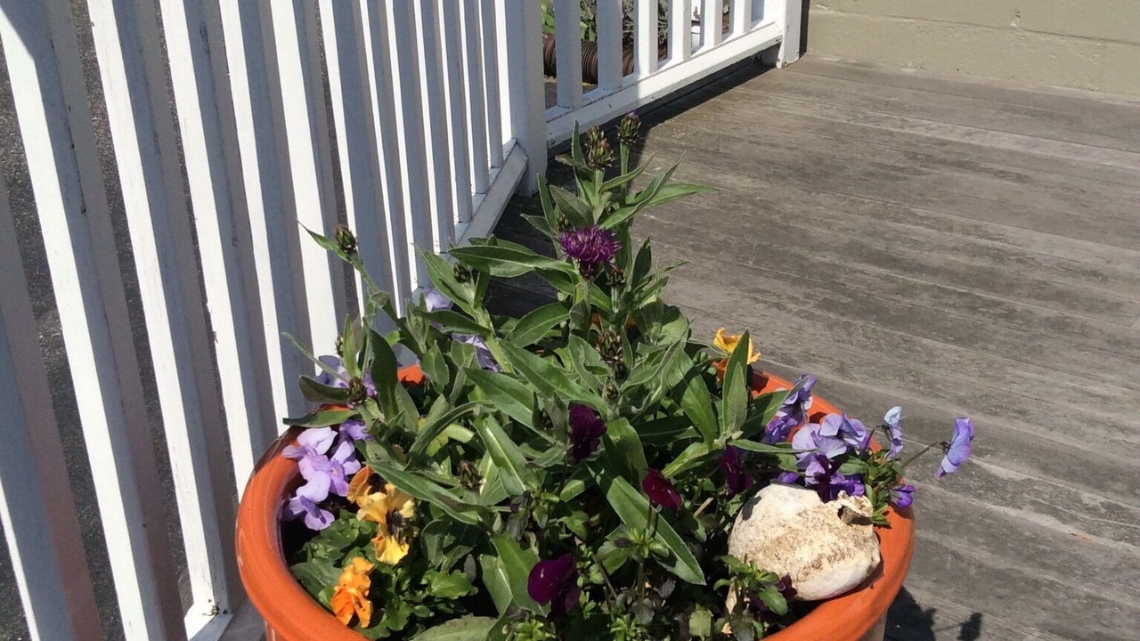 Photo of Outdoor in Nantucket Town