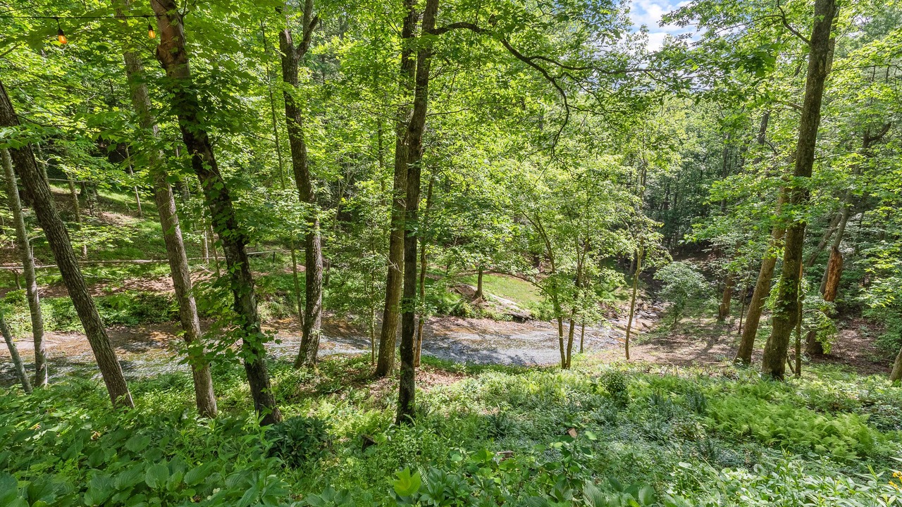 Photo of Outdoor in Hendersonville