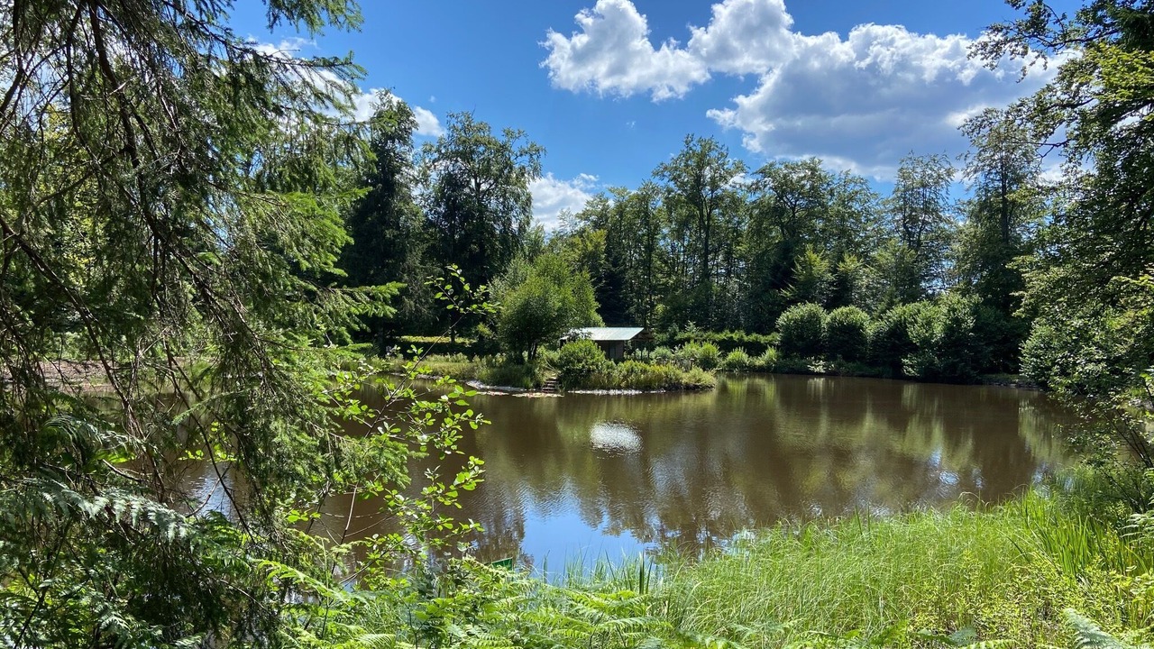 Photo of Others in Ferdrupt