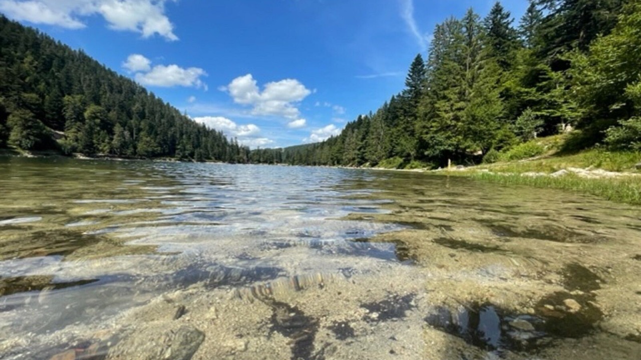 Photo of Others in Ferdrupt