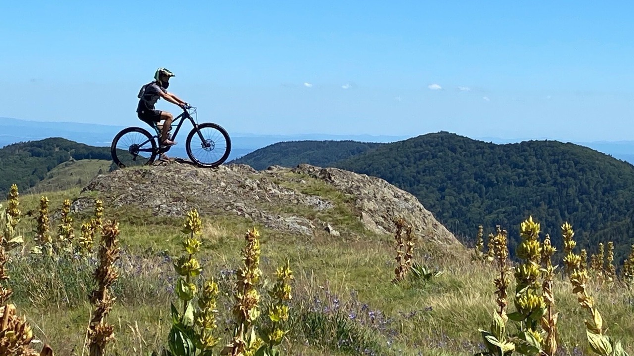 Photo of Others in Ferdrupt