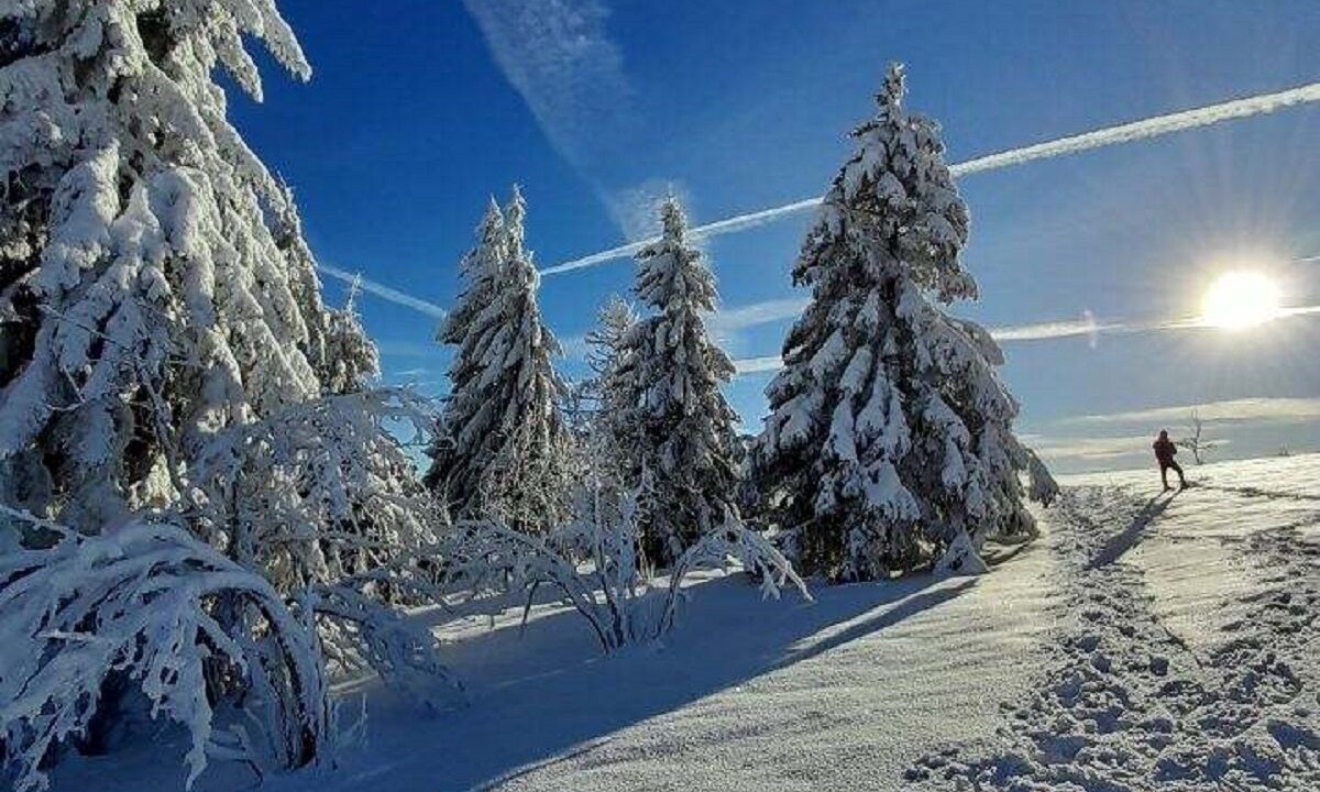 Photo of Others in Ferdrupt