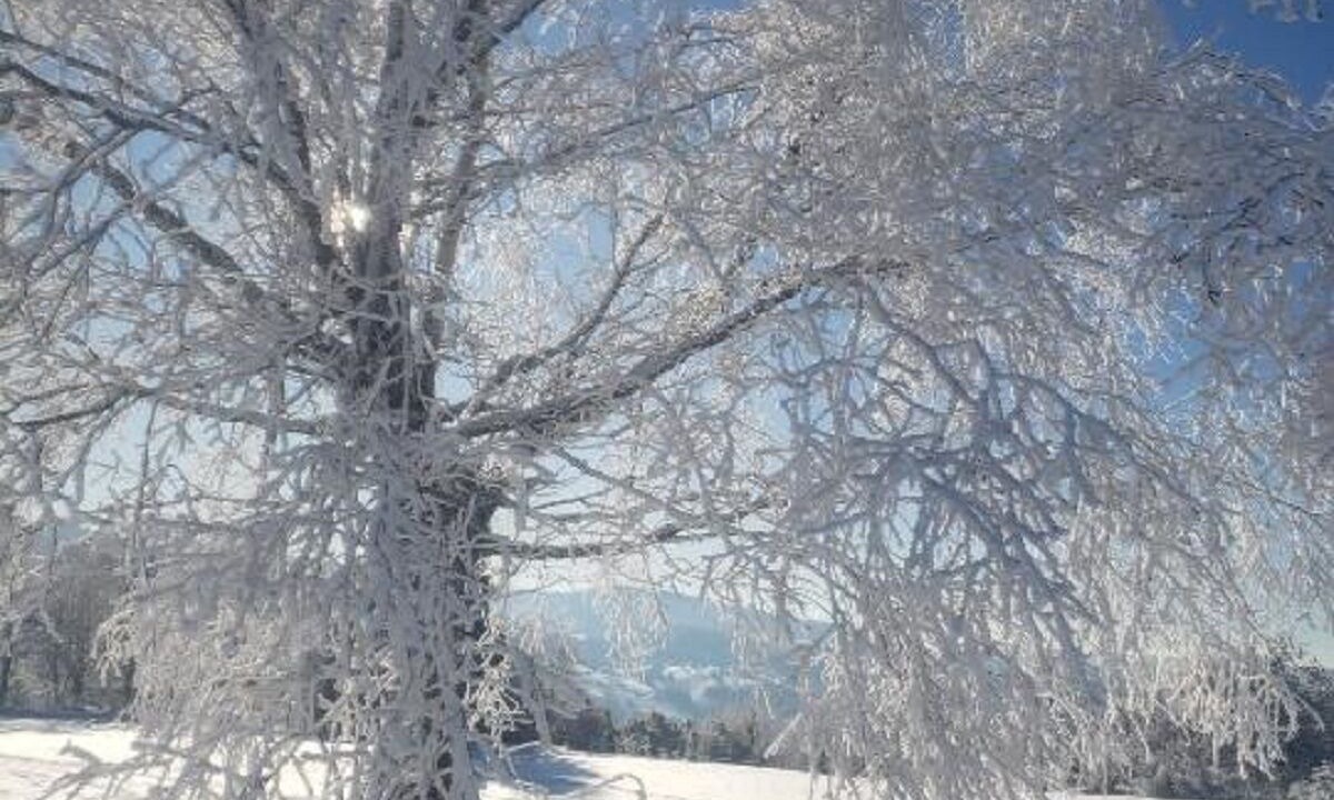 Photo of Others in Ferdrupt