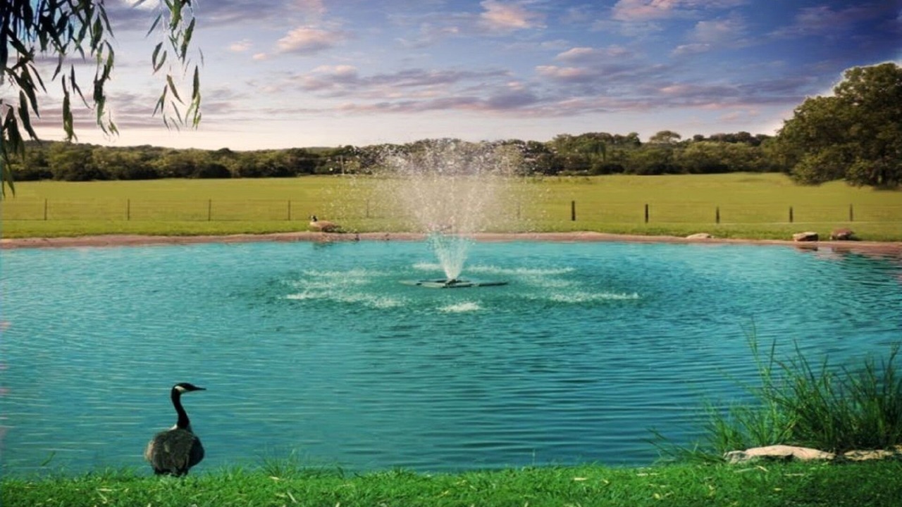 Photo of Outdoor in Mount Juliet
