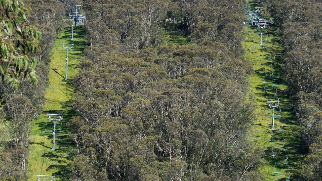 Photo of Outdoor in Thredbo