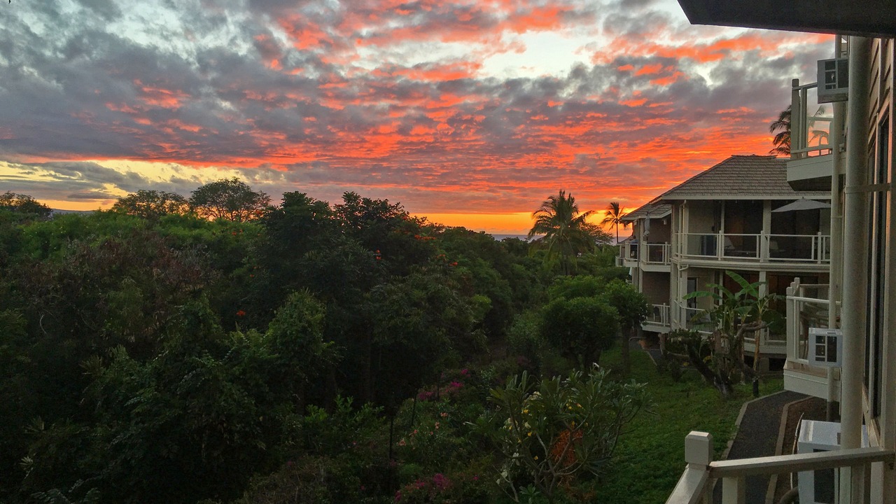 Photo of Others in Wailea