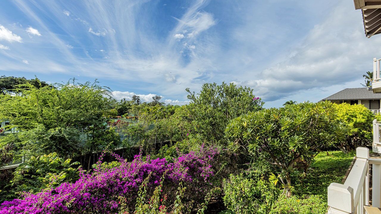 Photo of Outdoor in Wailea
