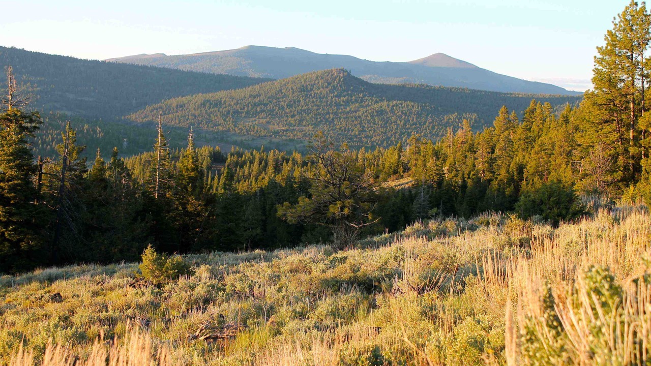 Photo of Outdoor in New Pine Creek