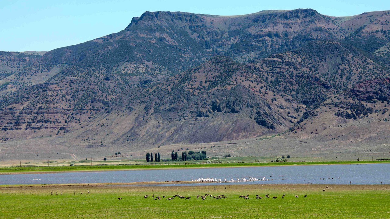 Photo of Others in New Pine Creek