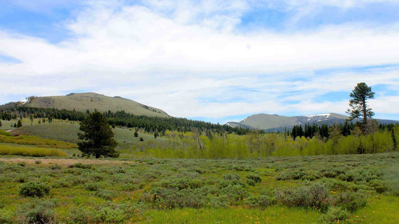 Photo of Outdoor in New Pine Creek