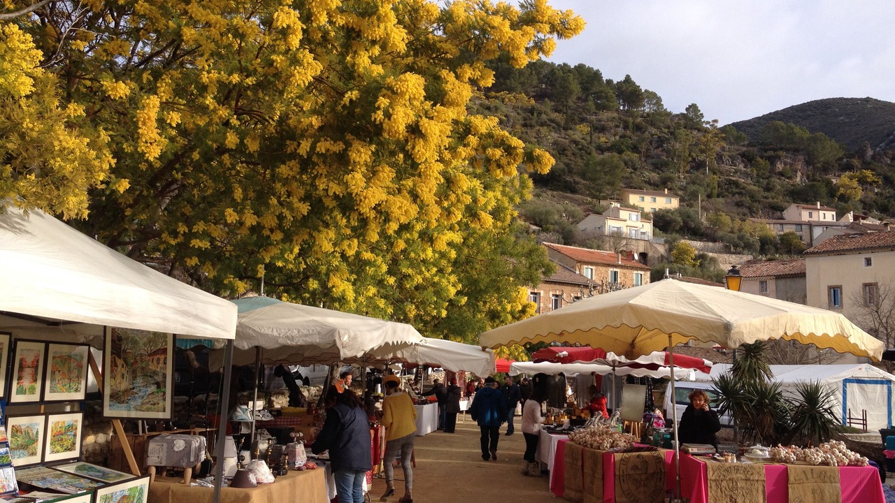 Photo of Others in Roquebrun