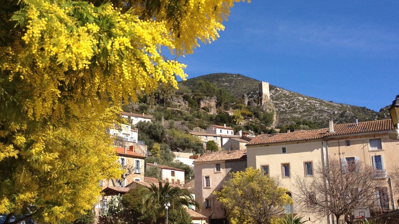 Photo of Outdoor in Roquebrun