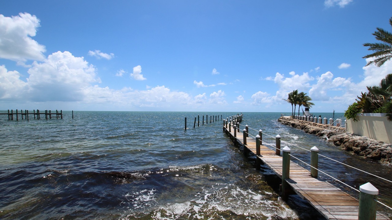 Photo of Others in Islamorada