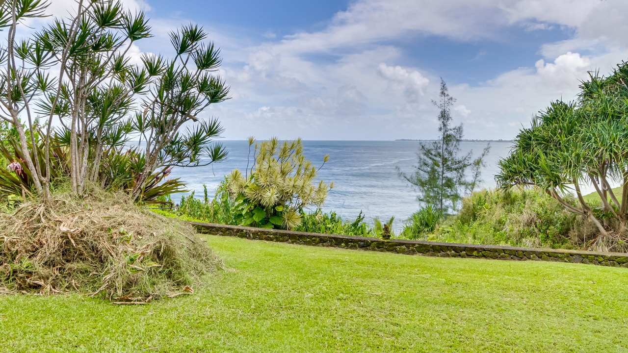 Photo of Others in Hilo