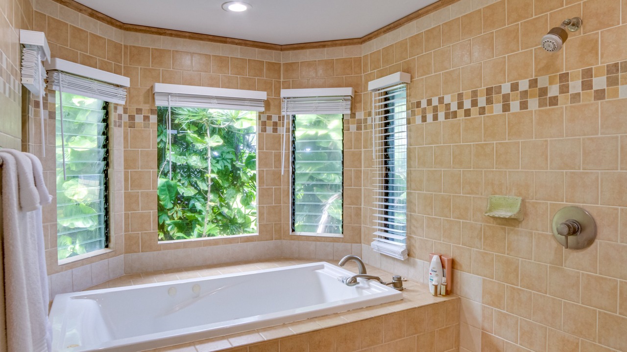 Photo of Bathroom in Hilo