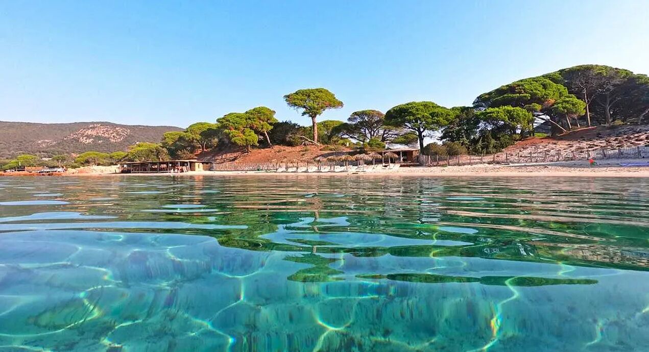 Photo of Others in Porto-Vecchio