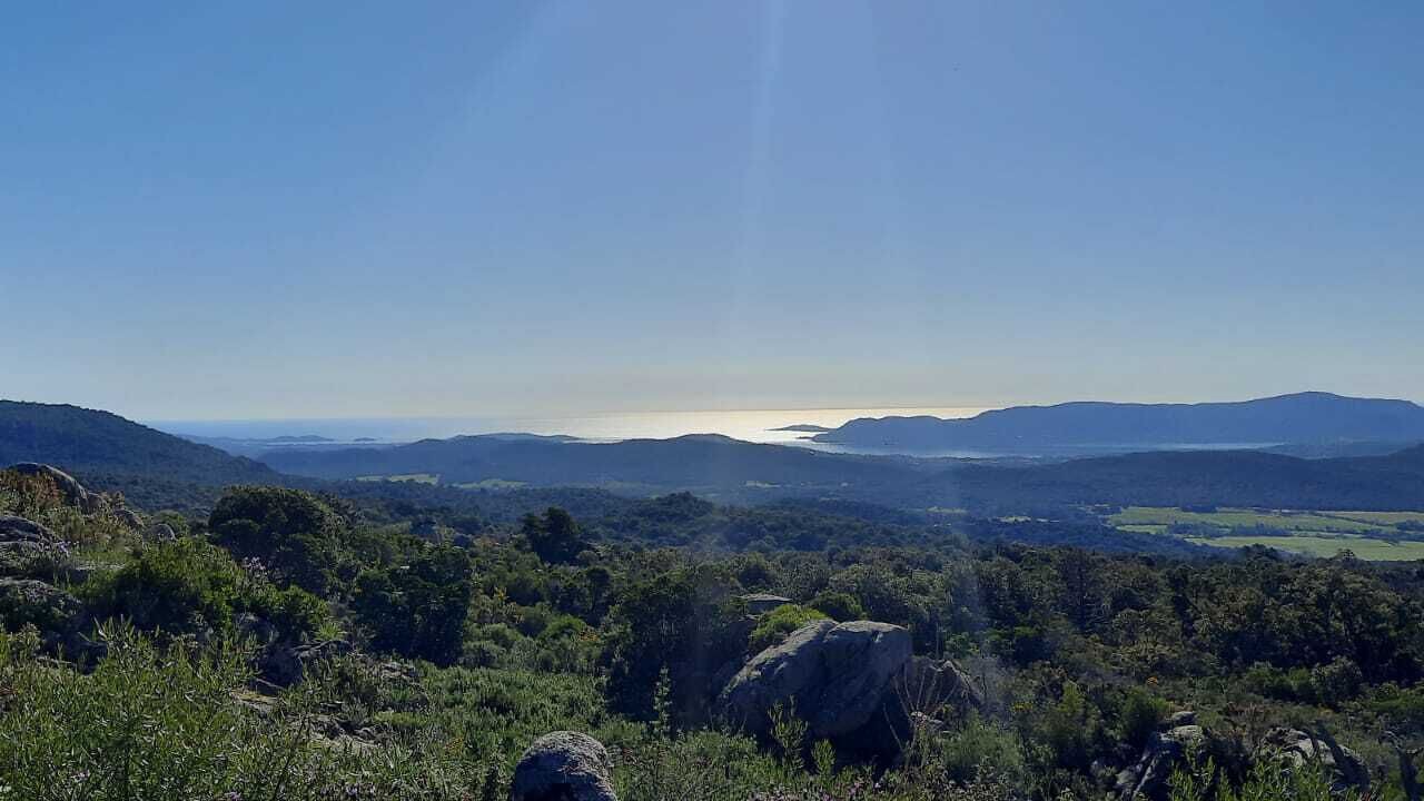 Photo of Others in Porto-Vecchio