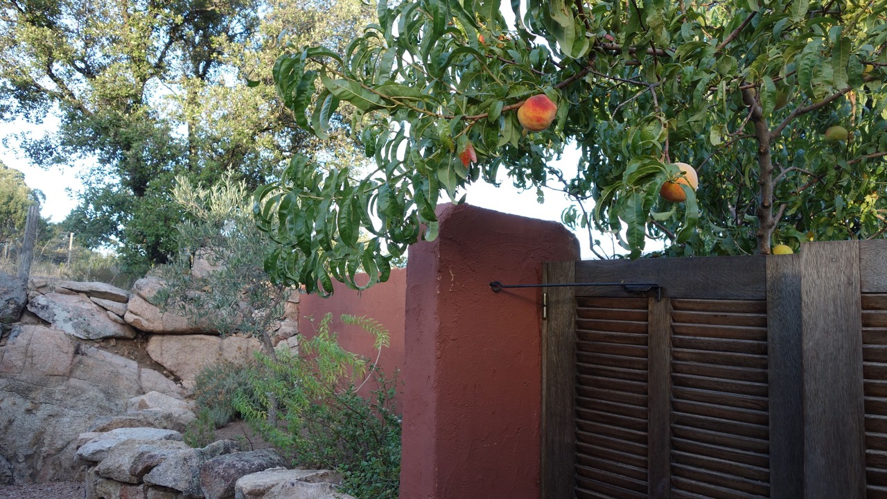 Photo of Outdoor in Porto-Vecchio