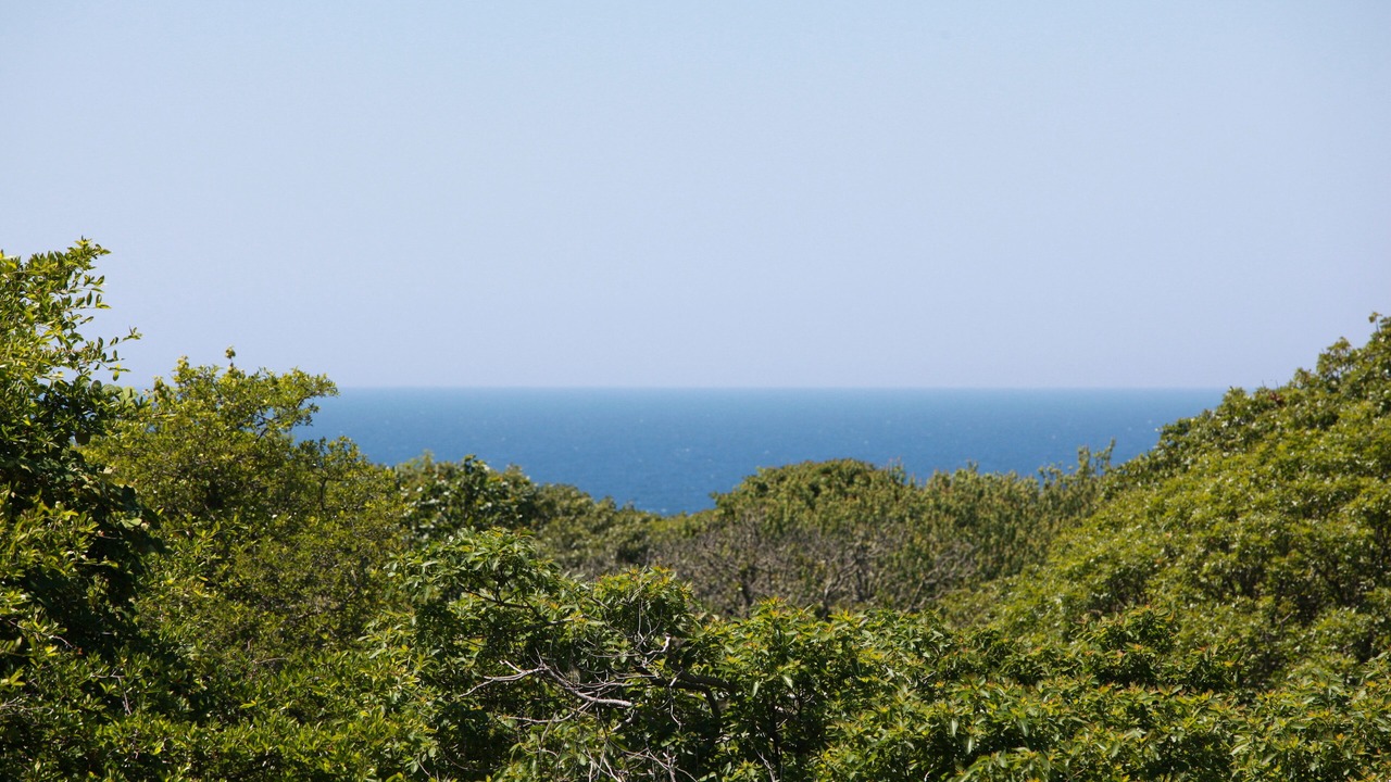 Photo of Others in Aquinnah