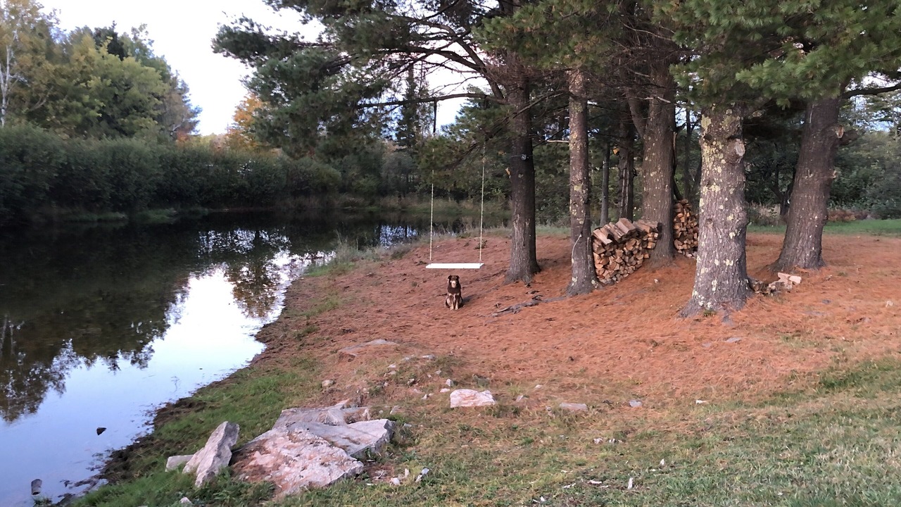 Photo of Outdoor in Baraga