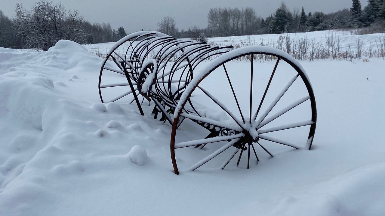 Photo of Others in Baraga