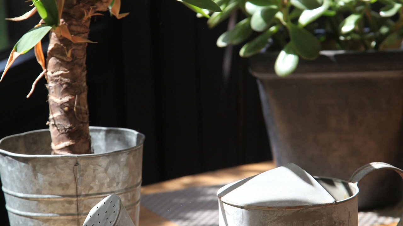 Photo of Others in Aureilhan