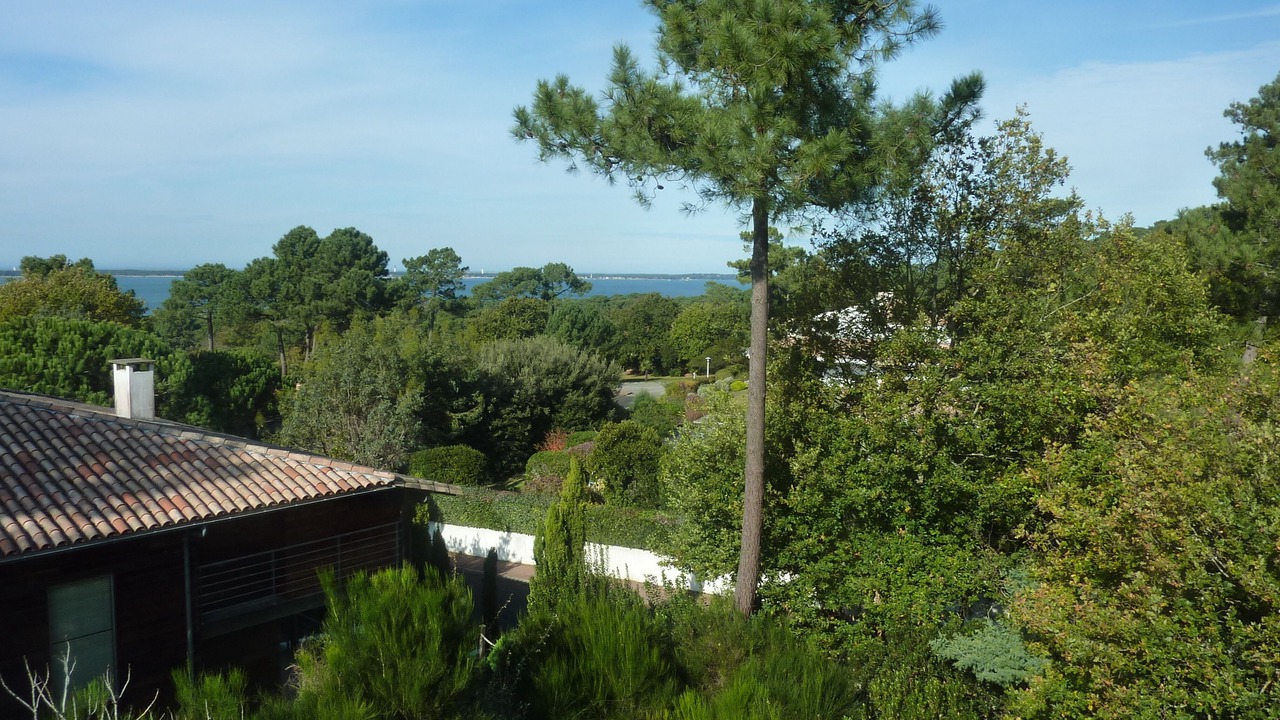 Photo of Outdoor in Pyla-sur-Mer
