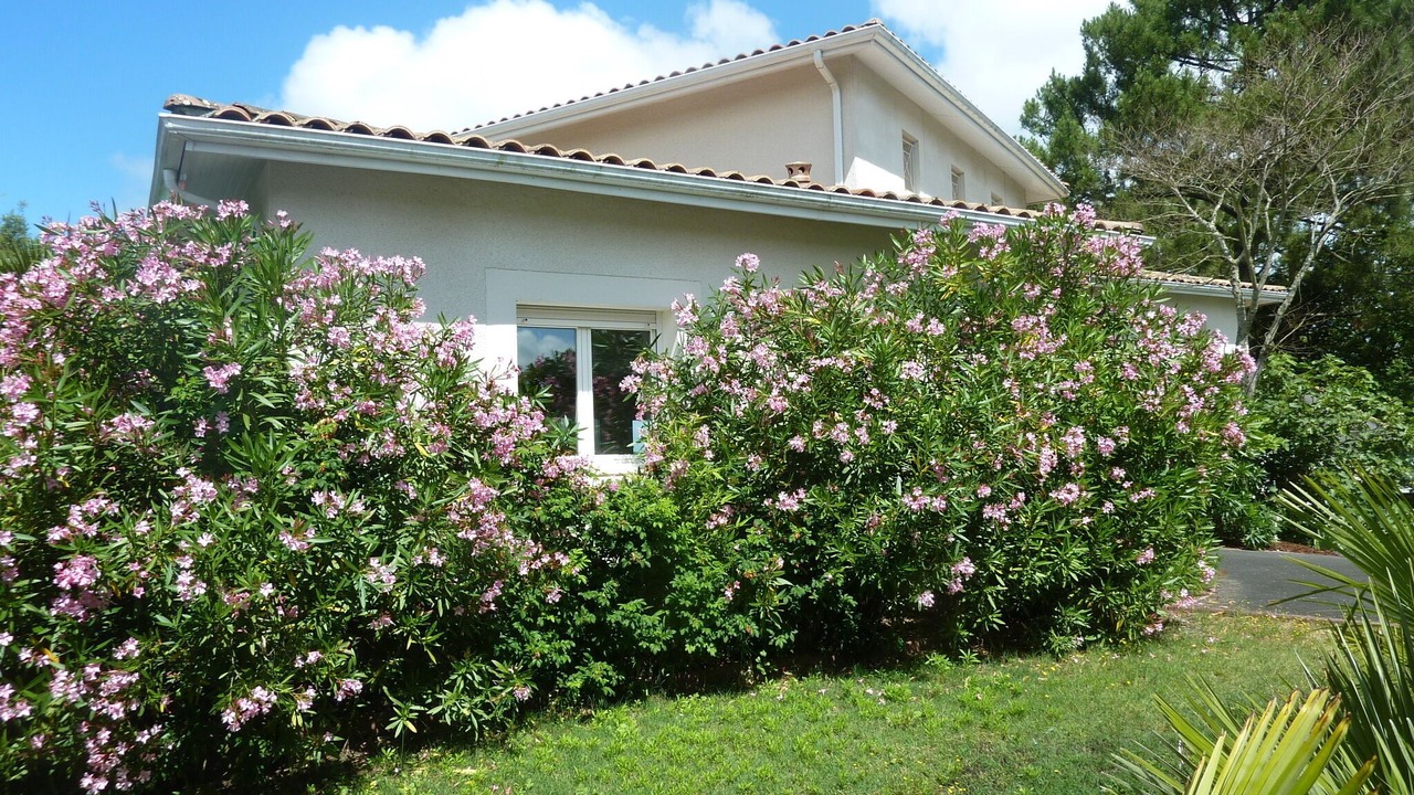 Photo of Outdoor in Pyla-sur-Mer