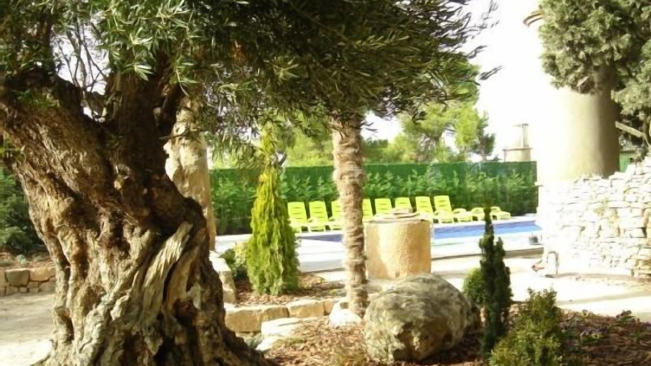 Photo of Outdoor in Sant Ramon
