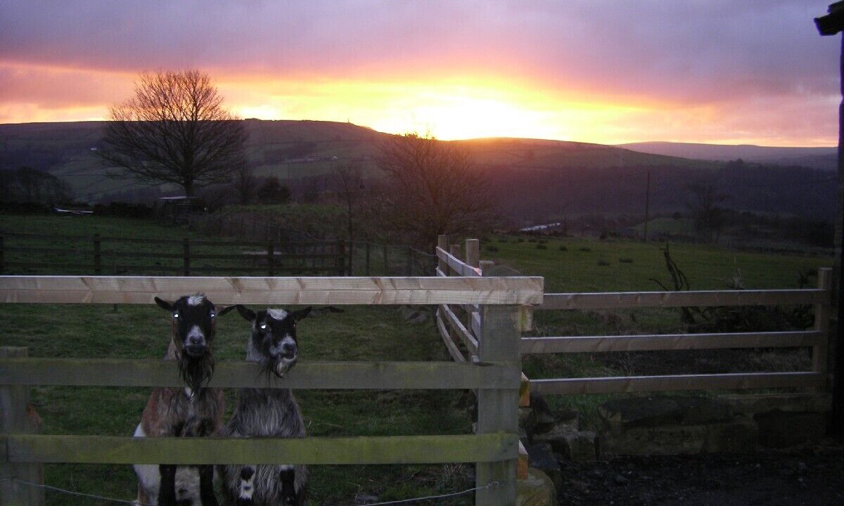 Photo of Others in Wadsworth