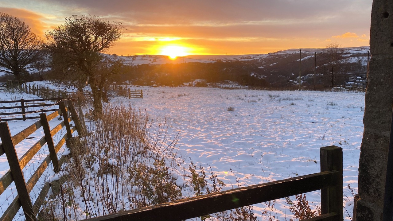 Photo of Others in Wadsworth