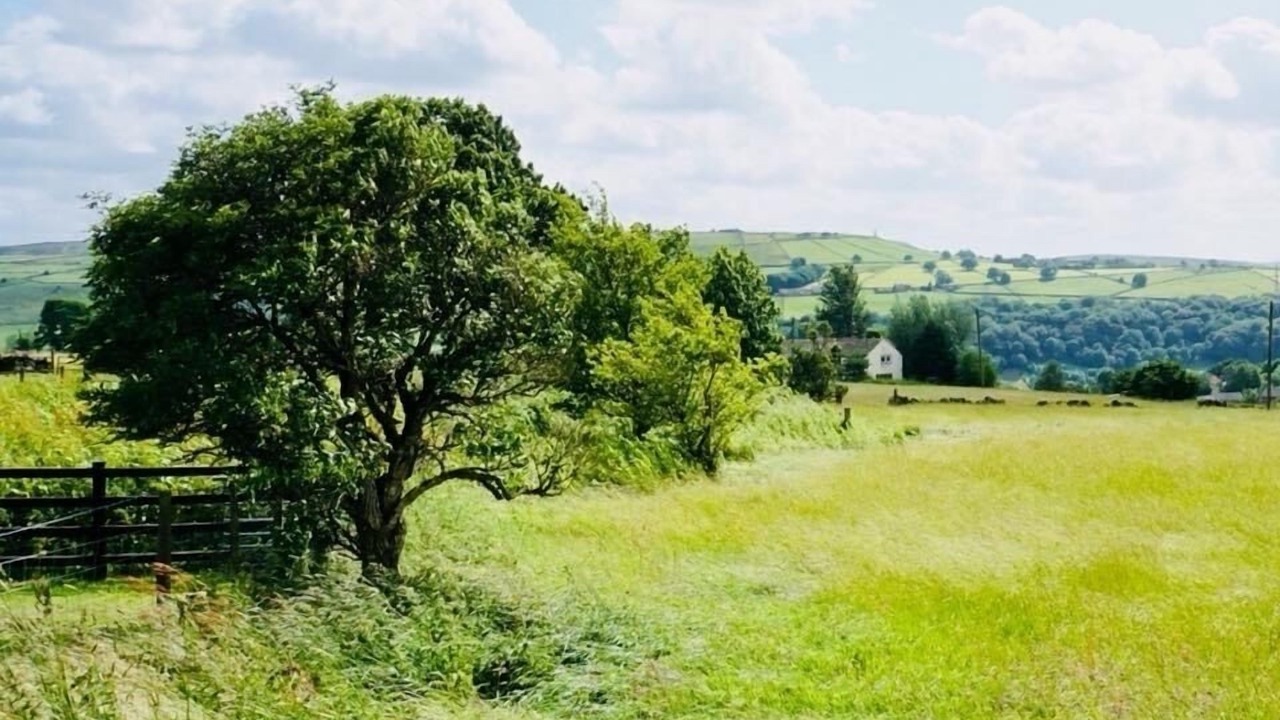 Photo of Others in Wadsworth