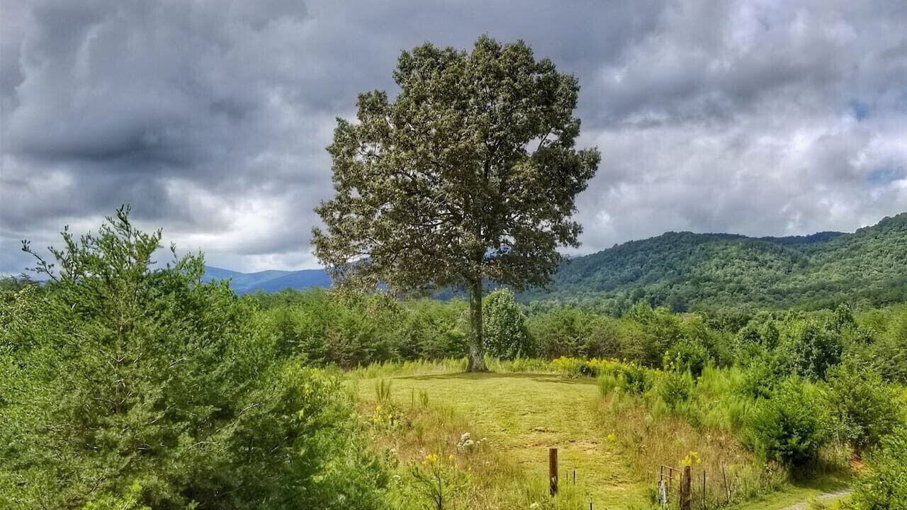 Photo of Others in Copperhill